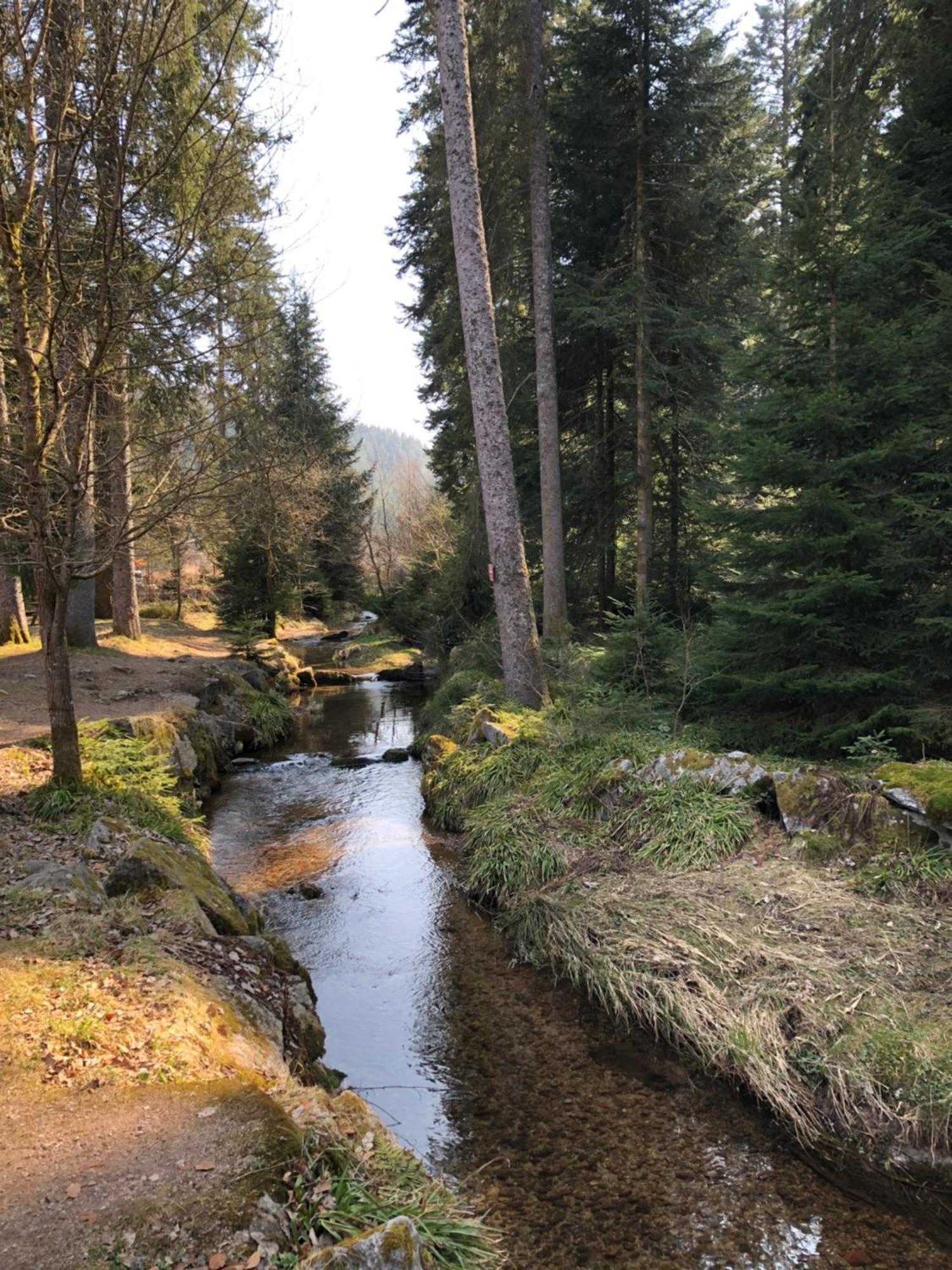La Renouee Villa Gérardmer Buitenkant foto
